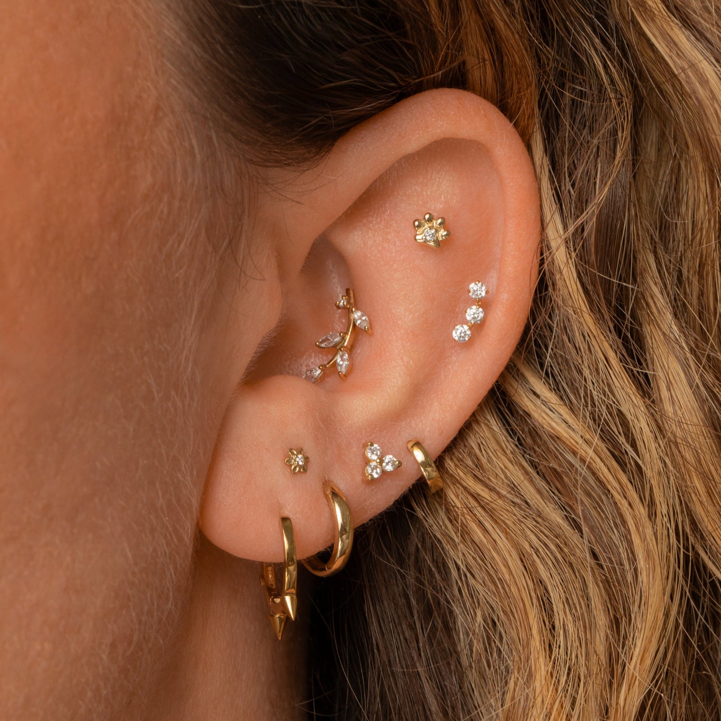 astrid miyu 14k solid yellow gold Animal Pawprint flat back labret stud earring Cartilage Studs Laura Bond