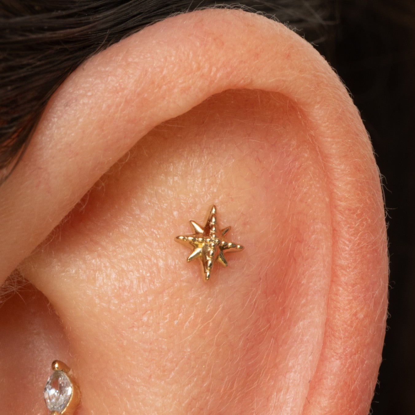 astrid miyu 9k solid yellow gold beaded North Star flat back labret stud earring Cartilage Studs Laura Bond