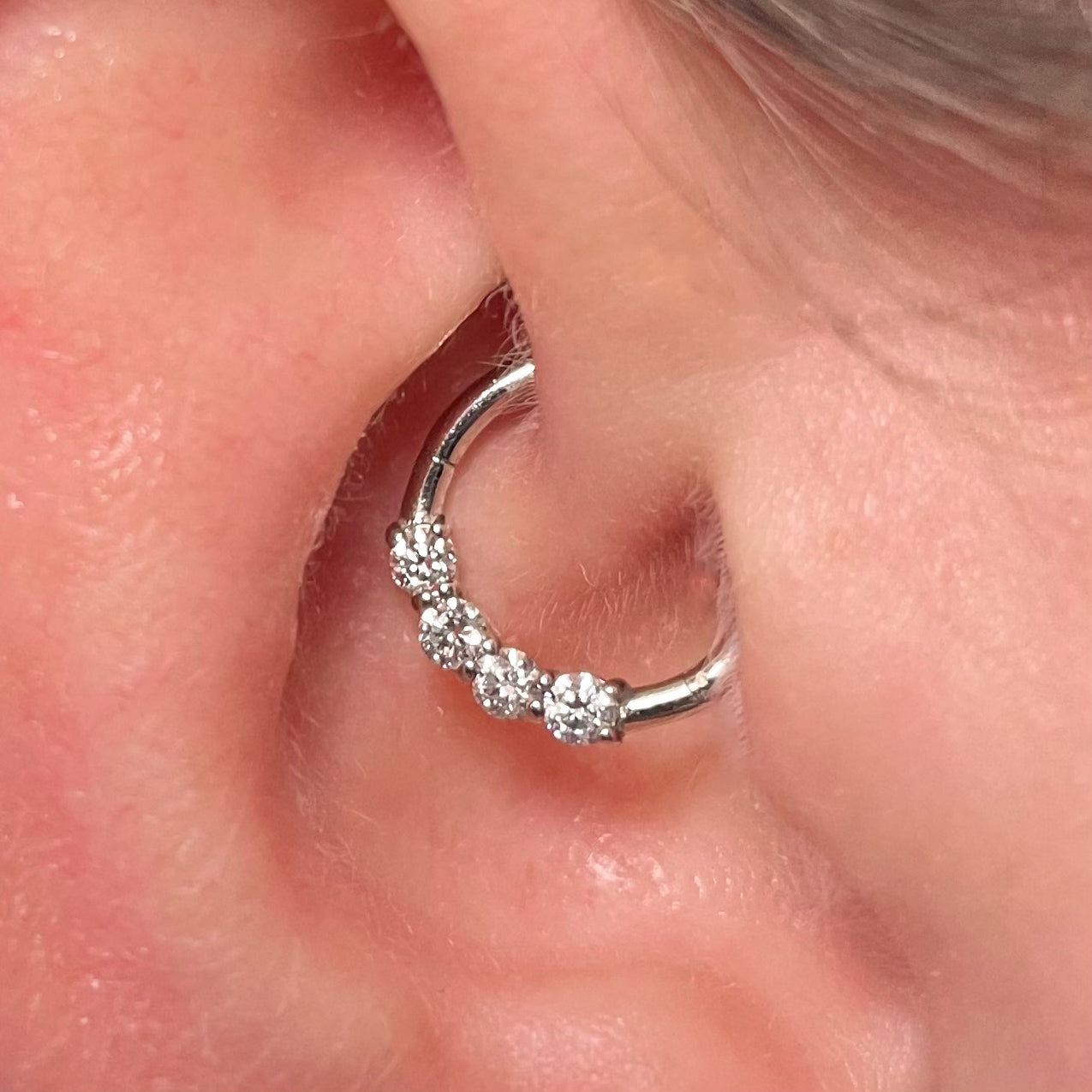 astrid miyu Diamonds by Laura Bond - 14k solid white gold simple diamond clicker hoop for daith or septum Huggies and Hoops Laura Bond