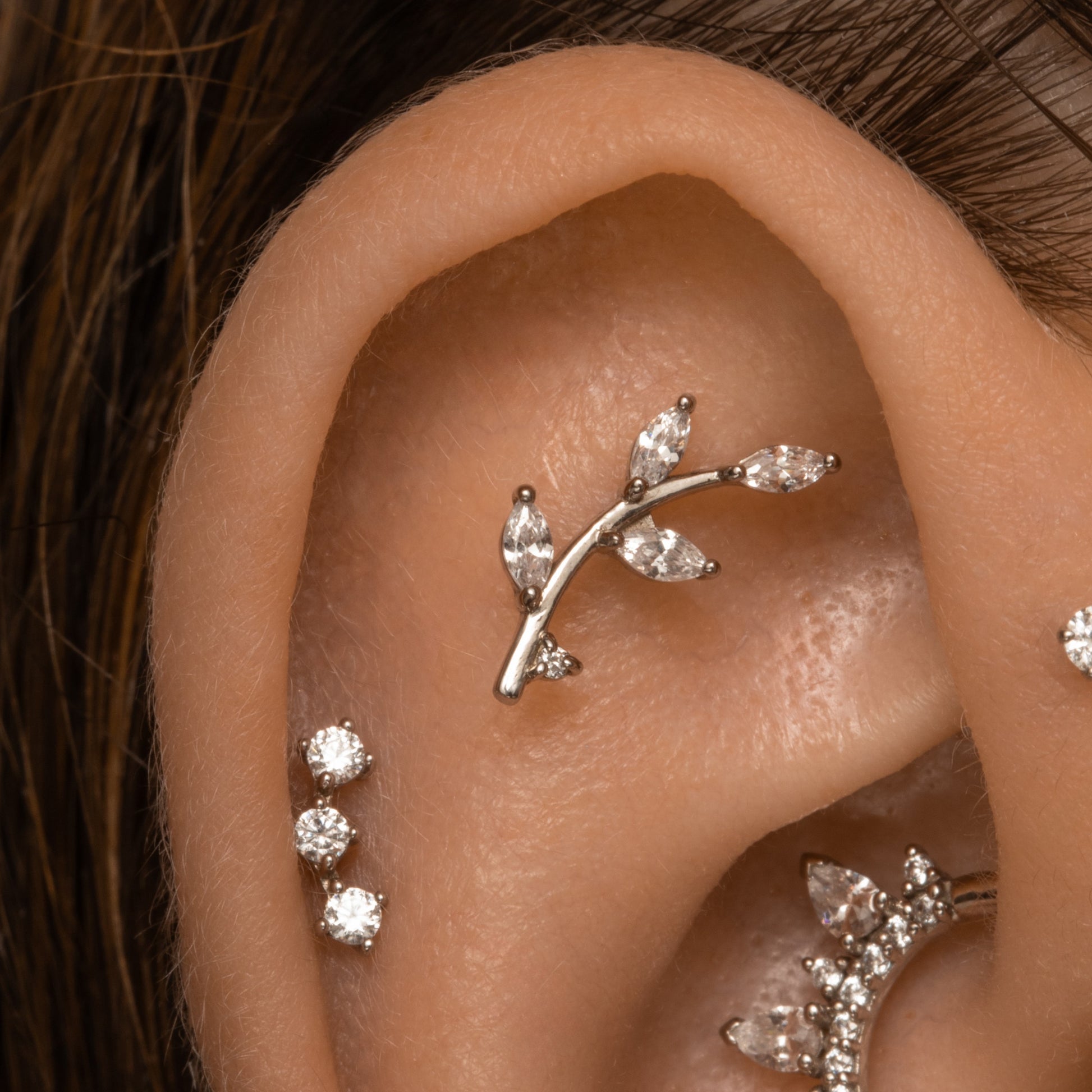 astrid miyu 9k solid white gold vine garland flat back climber stud earring 6mm Cartilage Studs Laura Bond