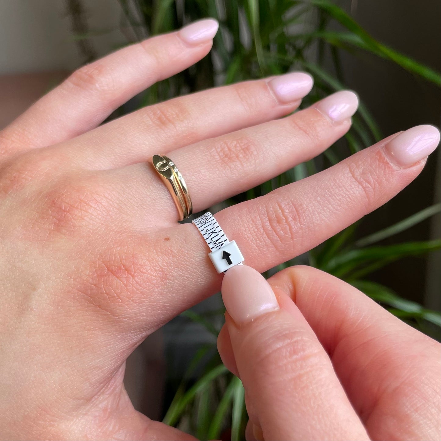 Free ring sizer