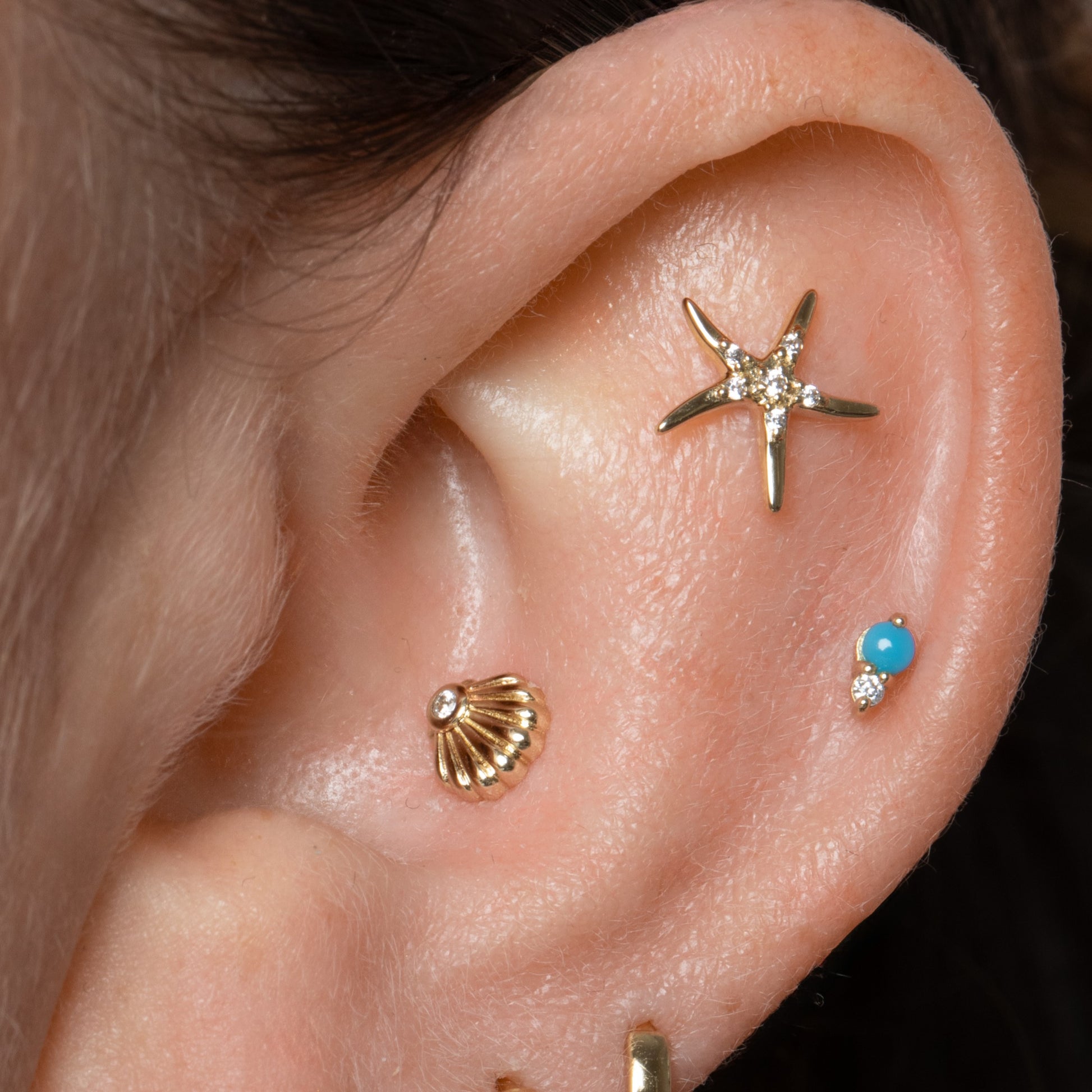 14k solid yellow gold Starfish flat back labret stud earring Cartilage Studs Laura Bond Maria Tash astrid miyu