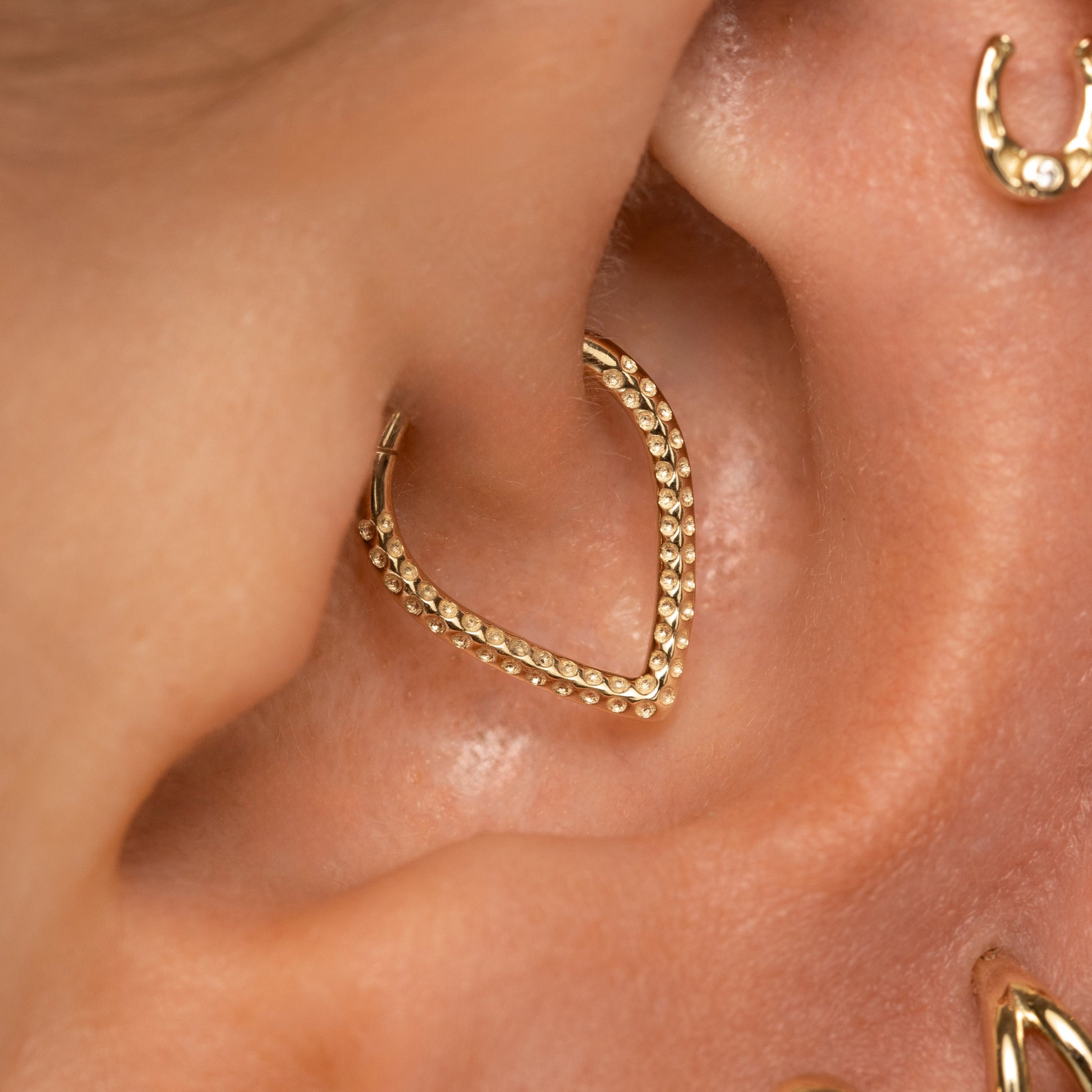 astrid miyu 9k solid yellow gold Vara textured clicker hoop earring for daith or septum 8mm Huggies and Hoops Laura Bond