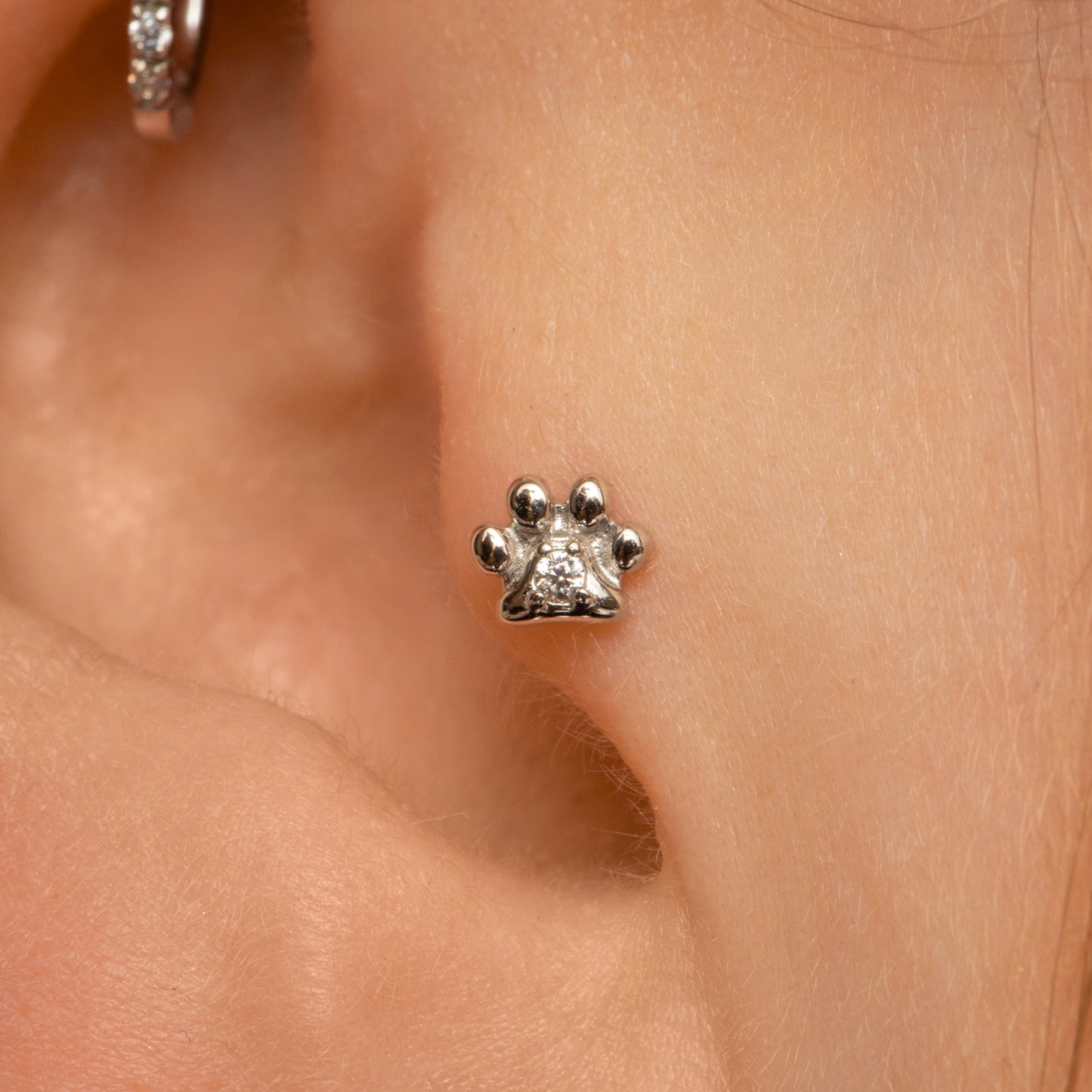 astrid miyu 9k solid white gold Animal Pawprint flat back labret stud earring Cartilage Studs Laura Bond