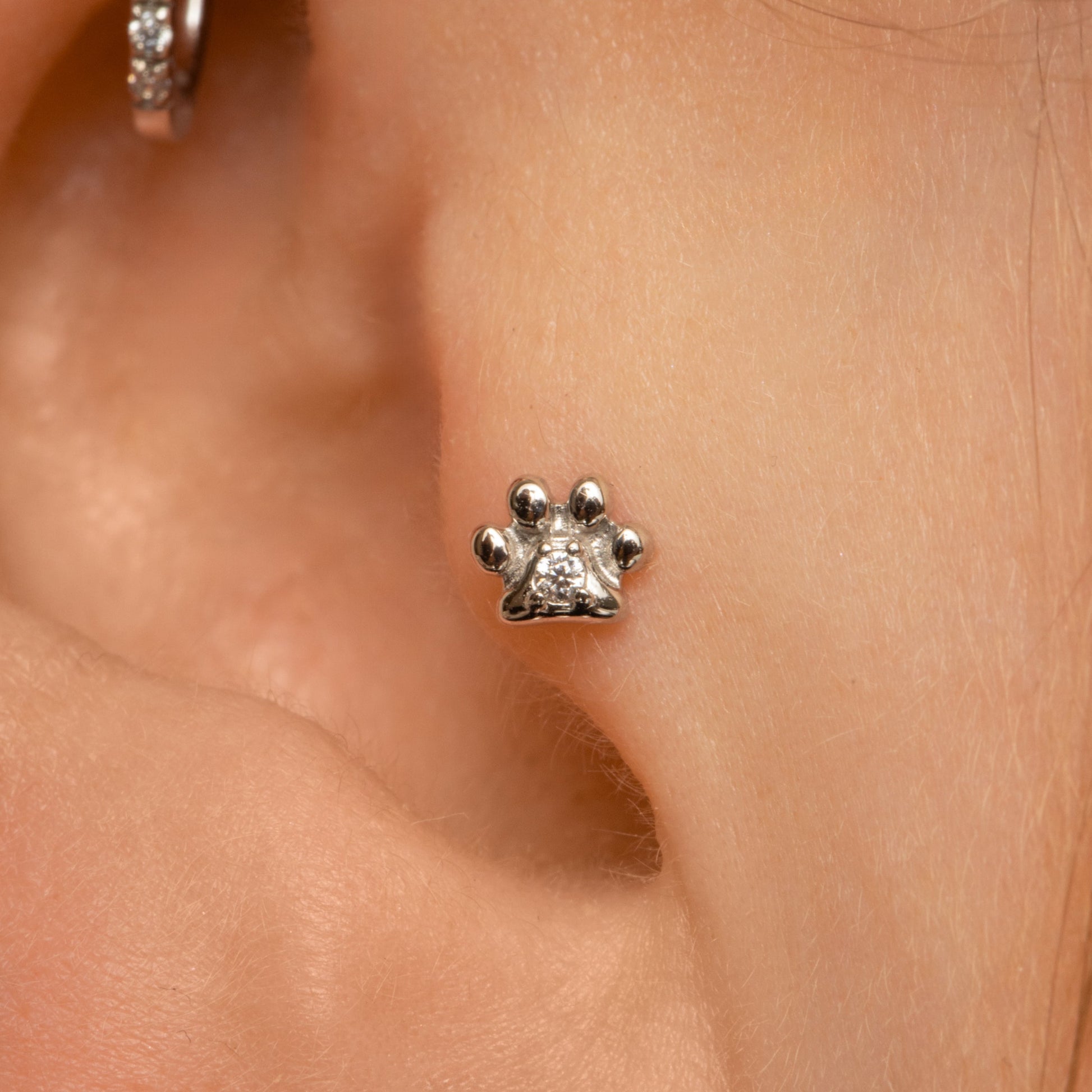 astrid miyu 9k solid white gold Animal Pawprint flat back labret stud earring Cartilage Studs Laura Bond