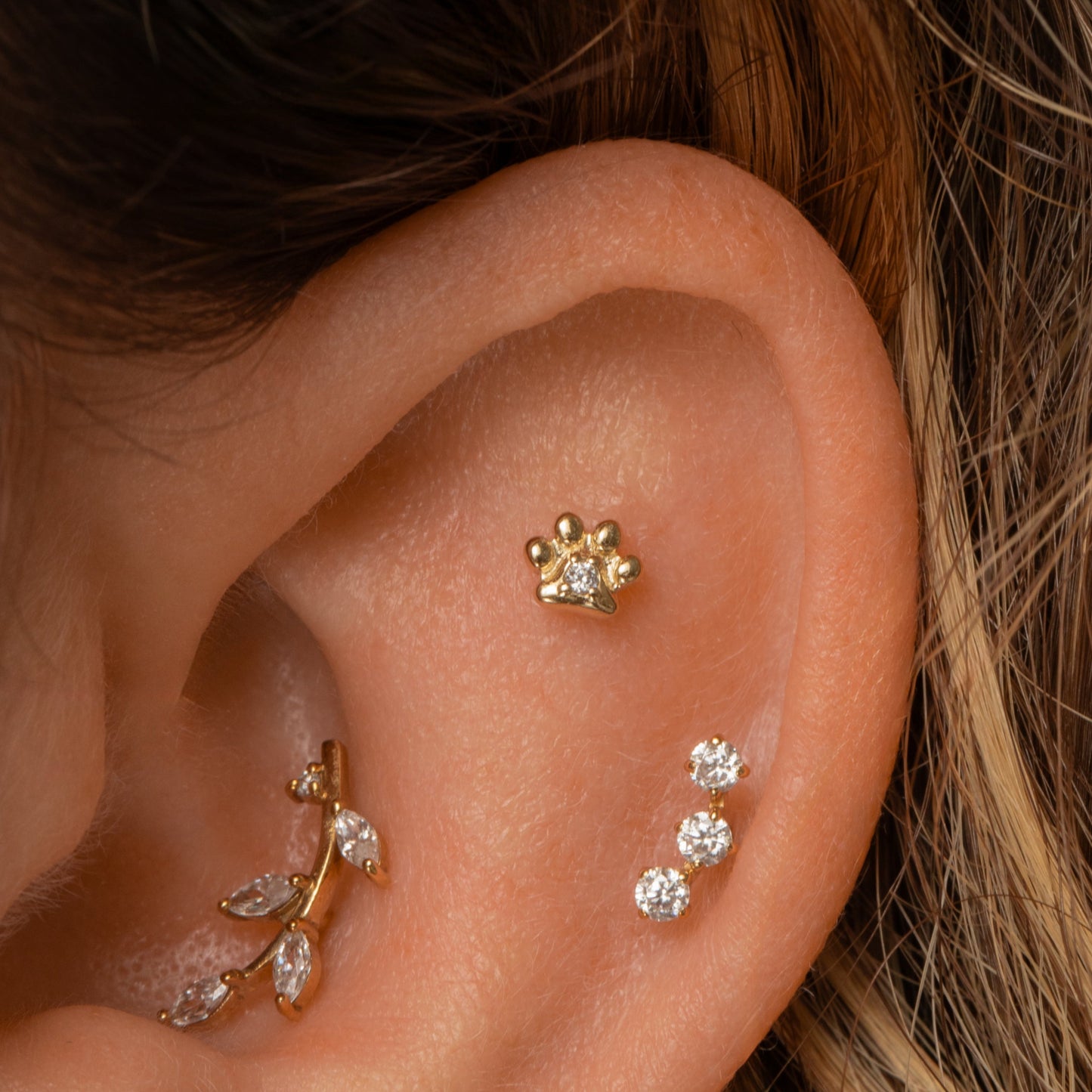 astrid miyu 9k solid yellow gold Animal Pawprint flat back labret stud earring Cartilage Studs Laura Bond