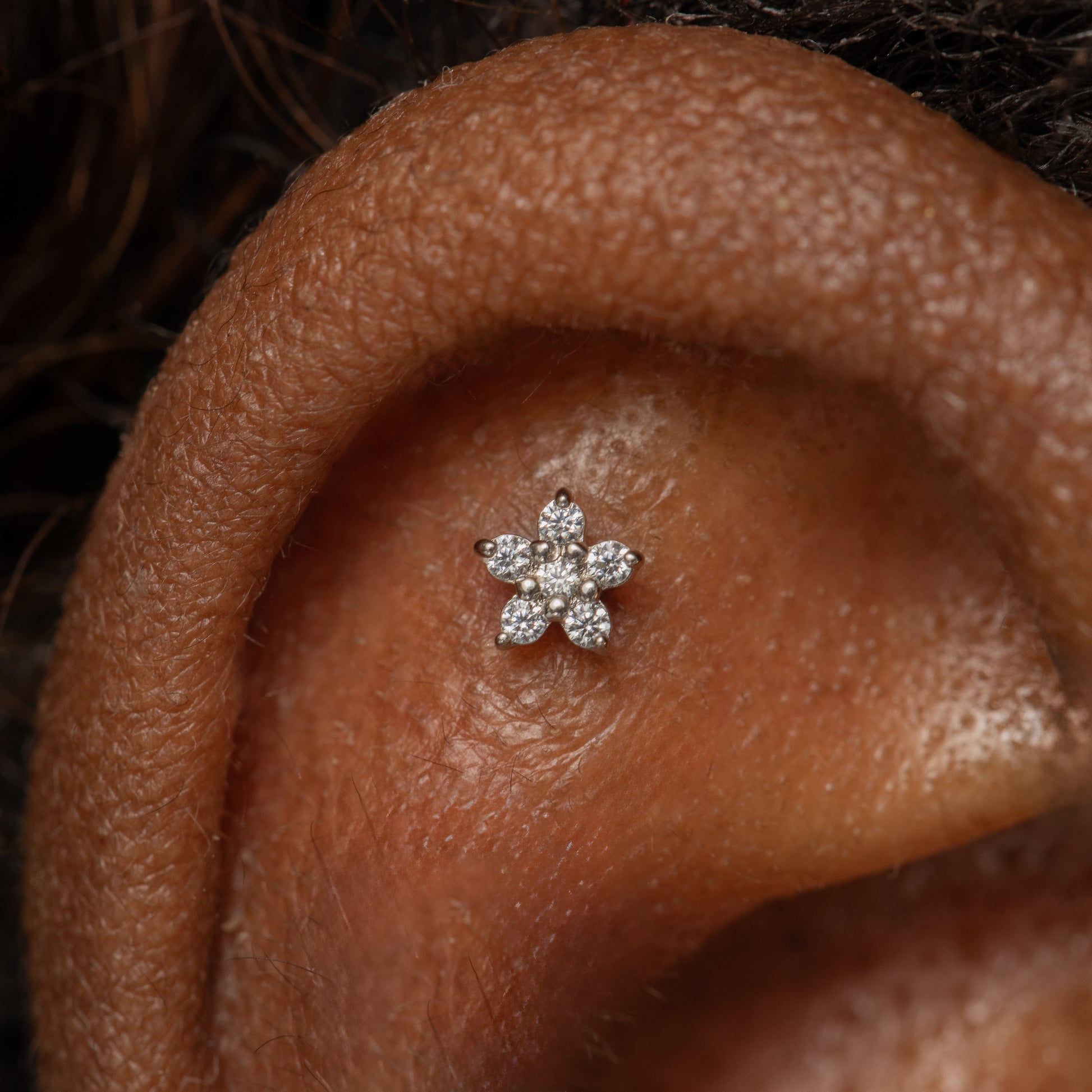 14k solid white gold dainty Daisy flat back labret stud earring Cartilage Studs Laura Bond Maria Tash