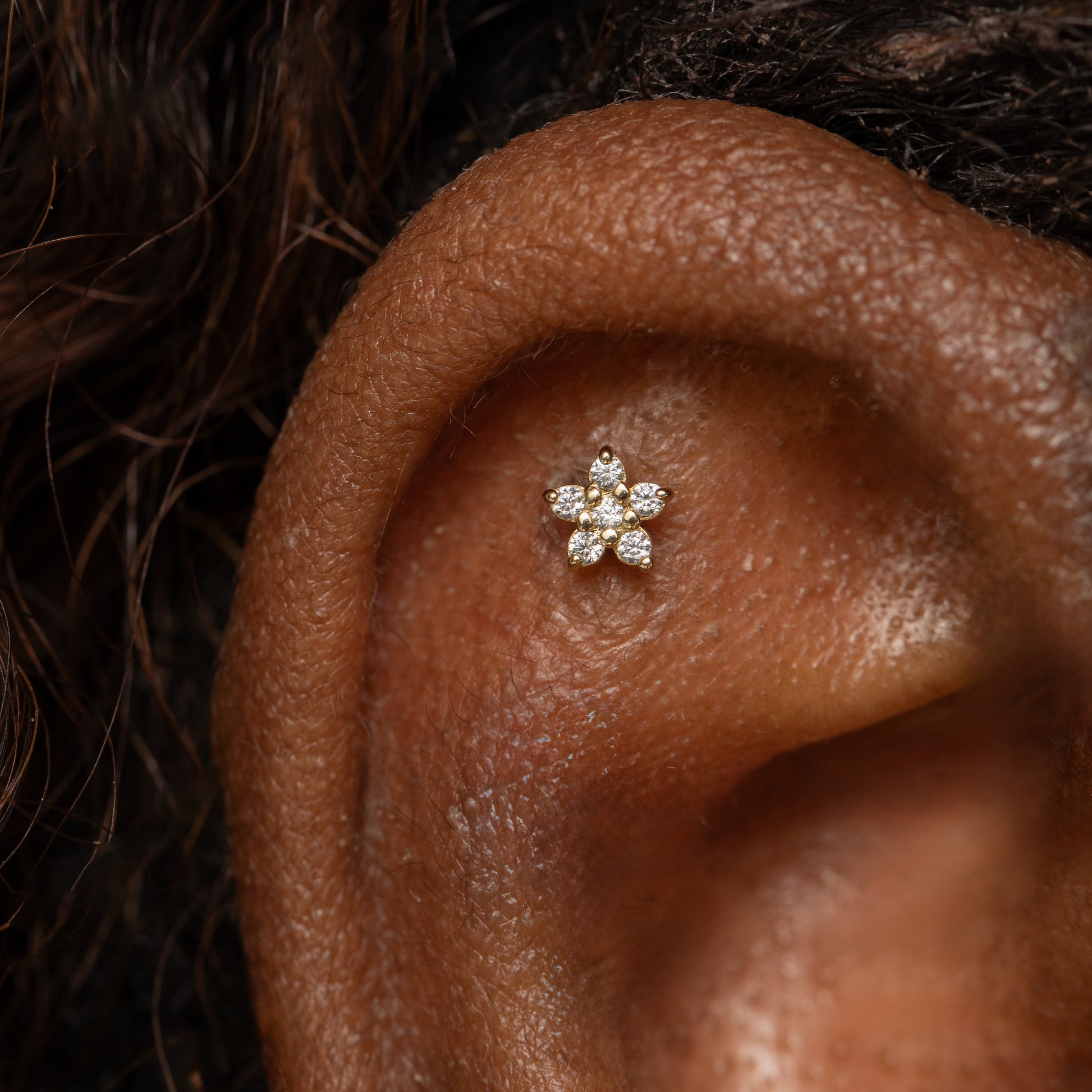 14k solid yellow gold dainty Daisy flat back labret stud earring Cartilage Studs Laura Bond Maria Tash