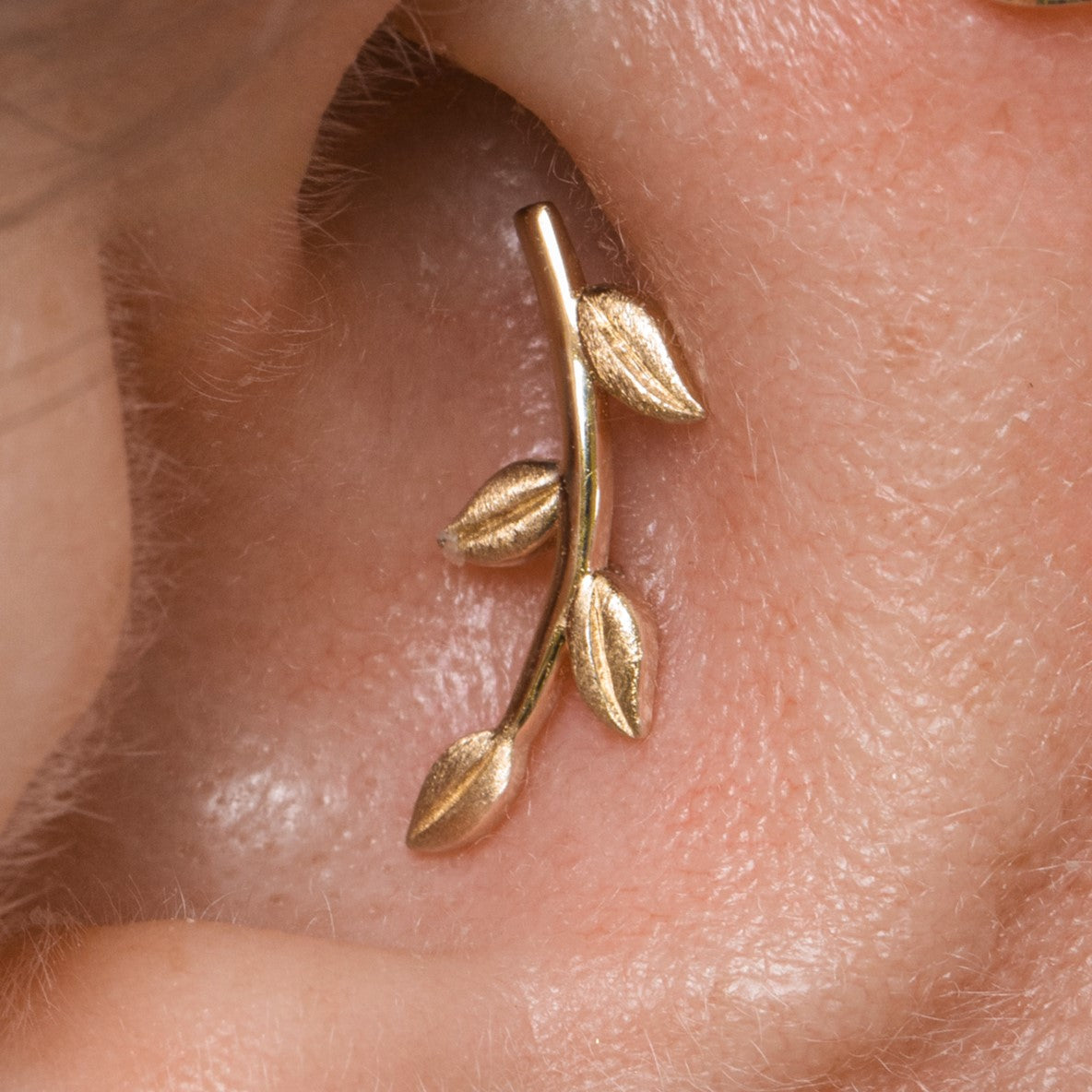 14k solid yellow gold textured vine garland flat back labret stud earring 8mm Cartilage Studs Laura Bond Maria Tash astrid miyu