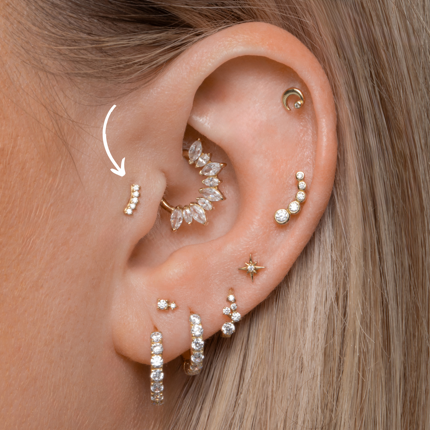 Conch tragus piercing discount