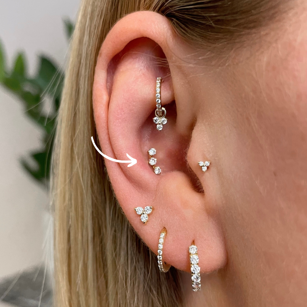 Unique Multiple Cartilage Ear Piercing Ideas – Flower Earring Studs Hoop  Ring – www.Impuria.com | Flower earrings studs, Ear piercings, Piercings